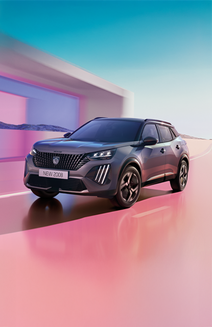 
								Peugeot 2008								